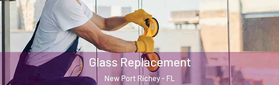  Glass Replacement New Port Richey - FL