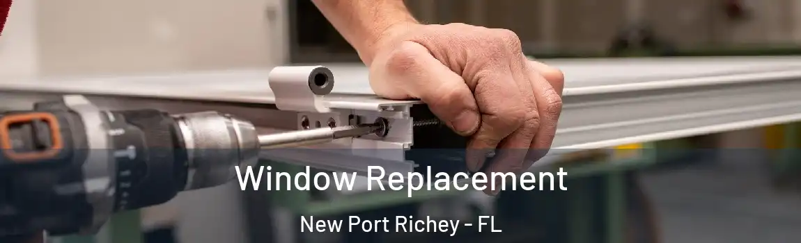  Window Replacement New Port Richey - FL